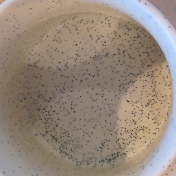 Starbuck's RARE Speckled Summer 2022 14-ounce Cactus Floral Mug - Picture 3 of 6